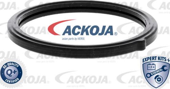 ACKOJA A53-99-0002 - Termostat, soyuducu furqanavto.az