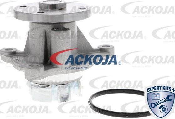 ACKOJA A53-50010 - Su nasosu furqanavto.az