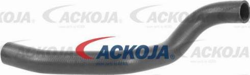 ACKOJA A52-1616 - Radiator şlanqı furqanavto.az