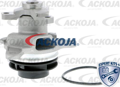 ACKOJA A38-50010 - Su nasosu furqanavto.az