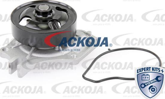 ACKOJA A32-50011 - Su nasosu furqanavto.az