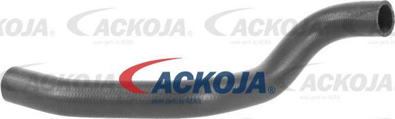 ACKOJAP A52-1616 - Radiator şlanqı furqanavto.az