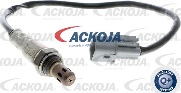 ACKOJAP A52-76-0016 - Lambda Sensoru furqanavto.az