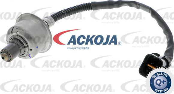 ACKOJAP A52-76-0020 - Lambda Sensoru furqanavto.az
