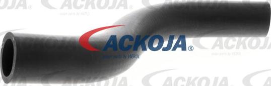 ACKOJAP A26-1600 - Radiator şlanqı furqanavto.az