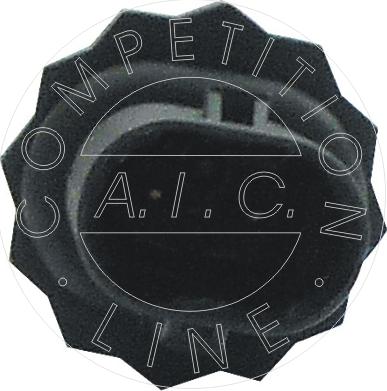 AIC 55794 - Sensor, soyuducu suyun temperaturu furqanavto.az