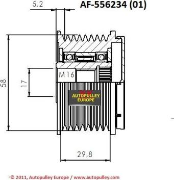 AINDE AF556234 - Kasnak, alternator, sərbəst dönərli mufta furqanavto.az