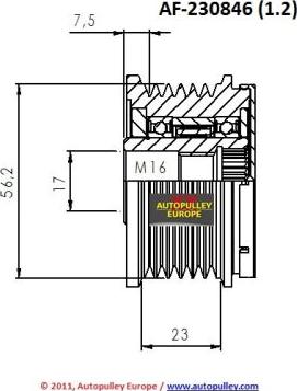 AINDE AF230846 - Kasnak, alternator, sərbəst dönərli mufta furqanavto.az