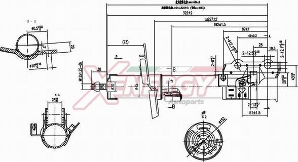 AP XENERGY X8041334 - Amortizator furqanavto.az