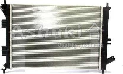 Ashuki I250-79 - Radiator, mühərrikin soyudulması furqanavto.az