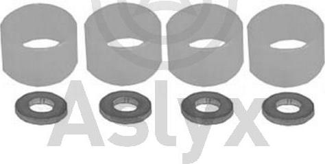 Aslyx AS-521015 - Təmir dəsti, enjeksiyon başlığı furqanavto.az