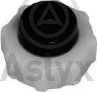 Aslyx AS-201260 - Sızdırmazlıq qapağı, soyuducu çəni furqanavto.az