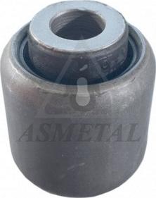 AS Metal 38BM1001 - Nəzarət Kolu / Arxa Qol furqanavto.az