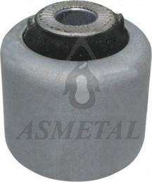 AS Metal 38BM2600 - Nəzarət Kolu / Arxa Qol furqanavto.az
