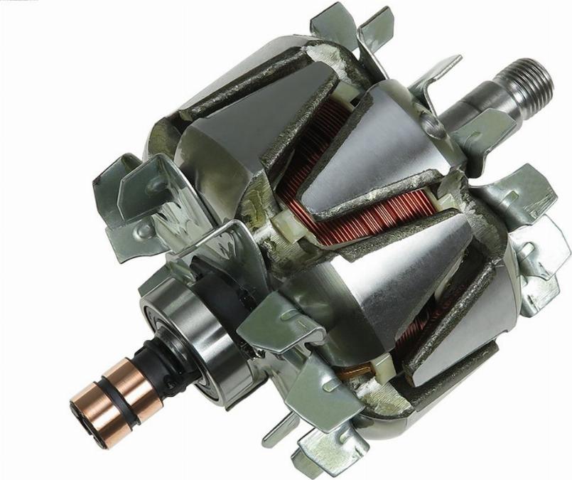 AS-PL AR0025 - Rotor, alternator furqanavto.az