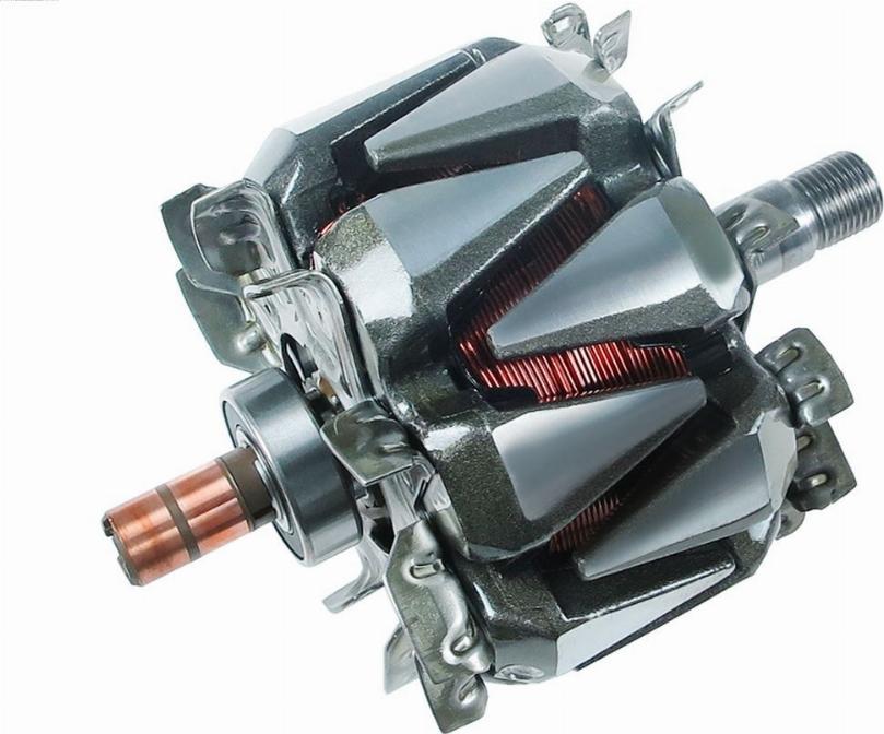 AS-PL AR3025 - Rotor, alternator furqanavto.az