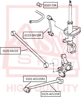 ASVA 0107-734 - Dəstək kol, stabilizator furqanavto.az