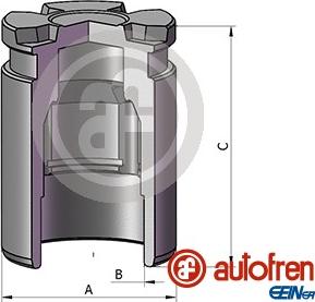 AUTOFREN SEINSA D025698 - Piston, əyləc kaliperi furqanavto.az