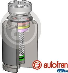 AUTOFREN SEINSA D025583RK - Piston, əyləc kaliperi furqanavto.az