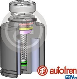 AUTOFREN SEINSA D025234LK - Piston, əyləc kaliperi furqanavto.az