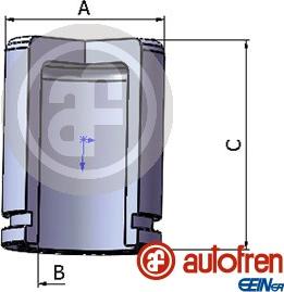 AUTOFREN SEINSA D025226 - Piston, əyləc kaliperi furqanavto.az