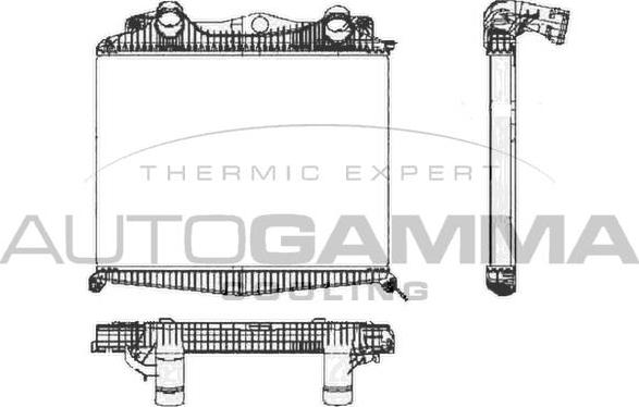 Autogamma 404448 - Intercooler, şarj cihazı furqanavto.az