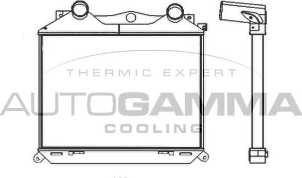 Autogamma 404610 - Intercooler, şarj cihazı furqanavto.az