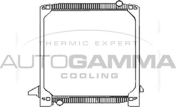 Autogamma 404064 - Radiator, mühərrikin soyudulması furqanavto.az