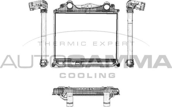 Autogamma 404752 - Intercooler, şarj cihazı furqanavto.az