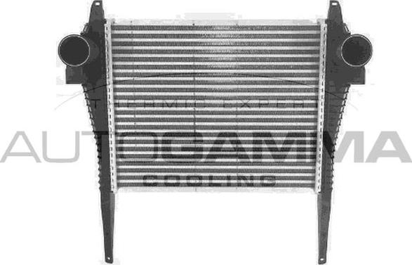 Autogamma 405556 - Intercooler, şarj cihazı furqanavto.az