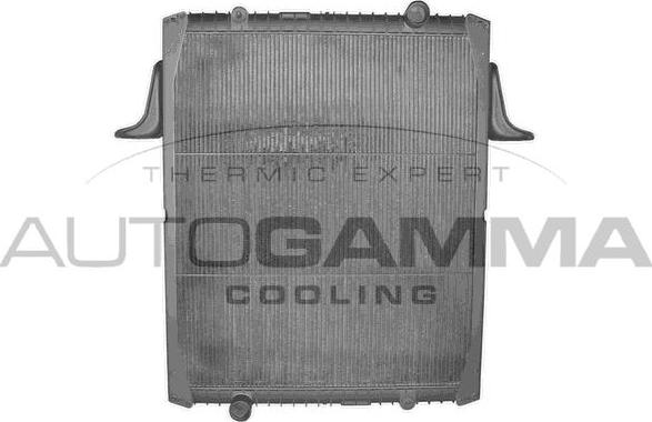 Autogamma 401036 - Radiator, mühərrikin soyudulması furqanavto.az