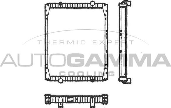 Autogamma 401038 - Radiator, mühərrikin soyudulması furqanavto.az