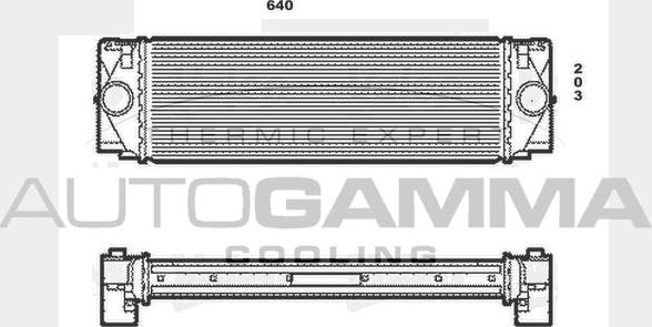 Autogamma 104488 - Intercooler, şarj cihazı furqanavto.az