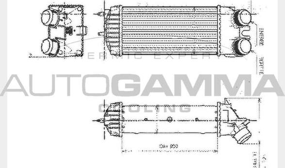 Autogamma 104585 - Intercooler, şarj cihazı furqanavto.az