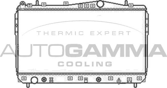 Autogamma 104056 - Radiator, mühərrikin soyudulması furqanavto.az