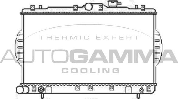 Autogamma 104062 - Radiator, mühərrikin soyudulması furqanavto.az