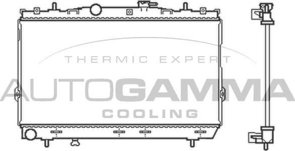 Autogamma 104085 - Radiator, mühərrikin soyudulması furqanavto.az