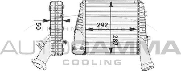 Autogamma 104893 - Intercooler, şarj cihazı furqanavto.az