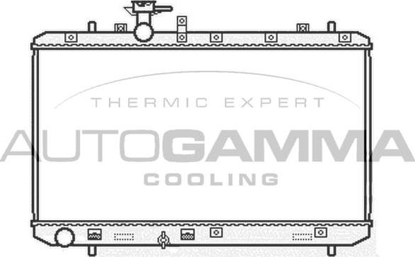 Autogamma 104824 - Radiator, mühərrikin soyudulması furqanavto.az