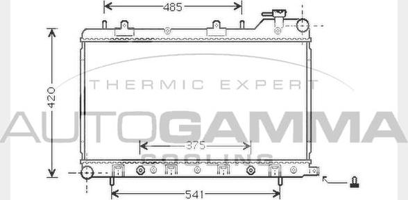 Autogamma 104309 - Radiator, mühərrikin soyudulması furqanavto.az