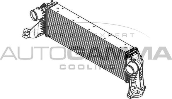 Autogamma 105949 - Intercooler, şarj cihazı furqanavto.az