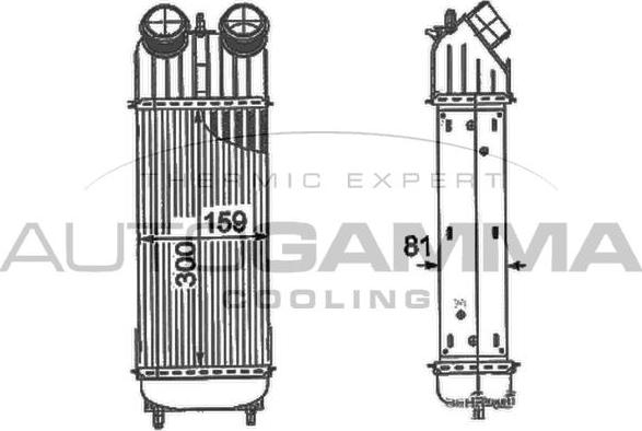 Autogamma 105121 - Intercooler, şarj cihazı furqanavto.az