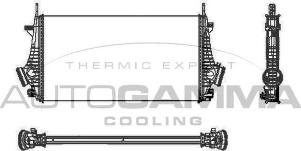 Autogamma 105338 - Intercooler, şarj cihazı furqanavto.az