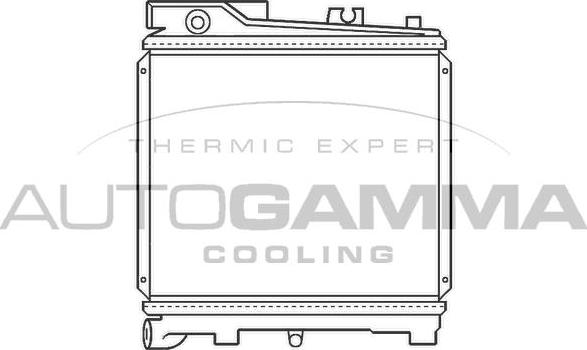 Autogamma 100095 - Radiator, mühərrikin soyudulması furqanavto.az