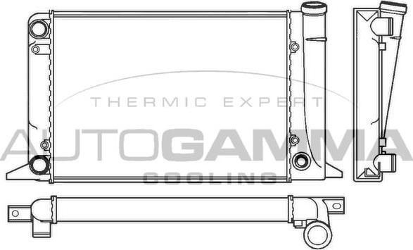 Autogamma 100040 - Radiator, mühərrikin soyudulması furqanavto.az