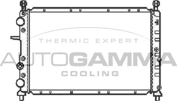 Autogamma 100017 - Radiator, mühərrikin soyudulması furqanavto.az