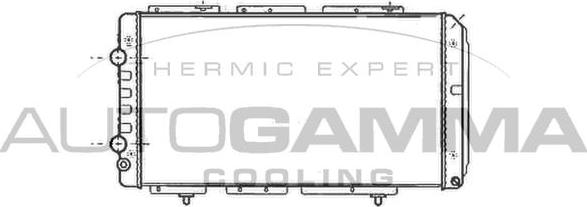 Autogamma 100188 - Radiator, mühərrikin soyudulması furqanavto.az