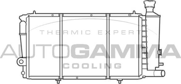 Autogamma 100172 - Radiator, mühərrikin soyudulması furqanavto.az