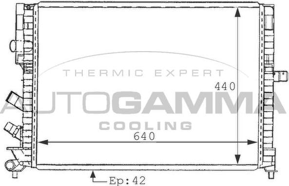 Autogamma 100898 - Radiator, mühərrikin soyudulması furqanavto.az