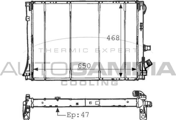 Autogamma 100892 - Radiator, mühərrikin soyudulması furqanavto.az